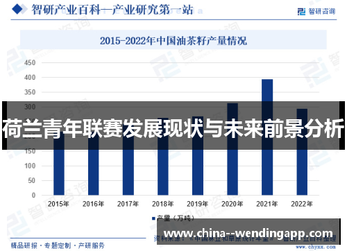 荷兰青年联赛发展现状与未来前景分析