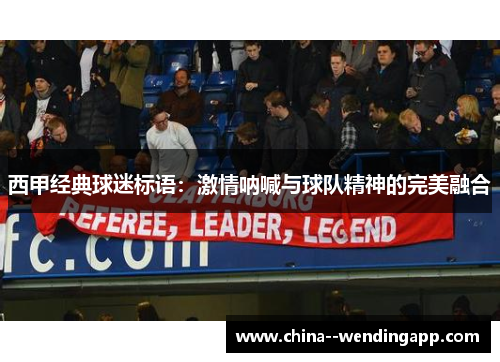 西甲经典球迷标语:激情呐喊与球队精神的完美融合 西甲经典球迷标语:激情呐喊与球队精神的完美融合