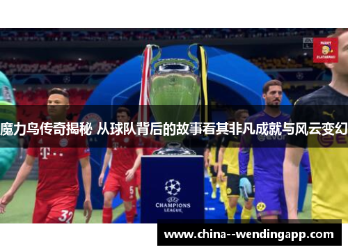魔力鸟传奇揭秘 从球队背后的故事看其非凡成就与风云变幻