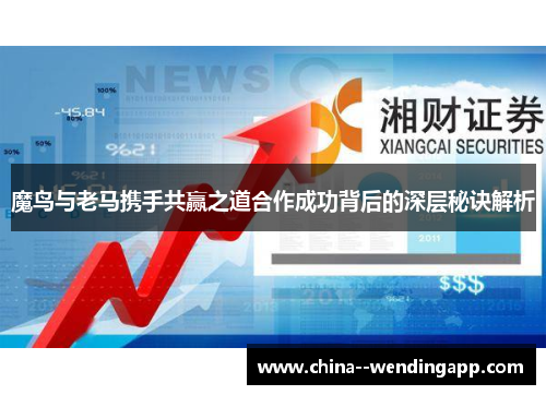 魔鸟与老马携手共赢之道合作成功背后的深层秘诀解析